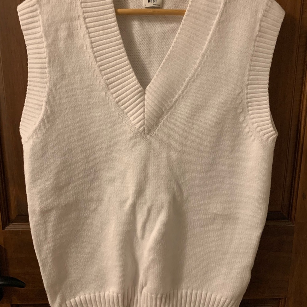 Aritzia Sunday Best Wyatt Vest - Picture 3 of 6